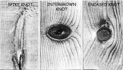 image001.jpg